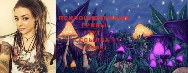 2c-b Белоозёрский