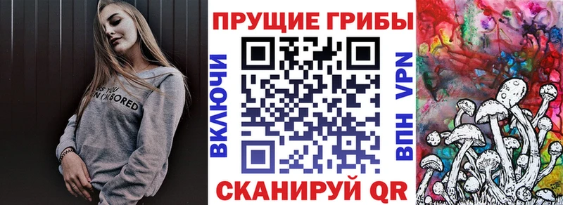 Псилоцибиновые грибы мухоморы  МЕГА вход  Липки 